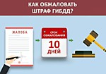 Какие документы необходимы для успешного оспаривания штрафов?